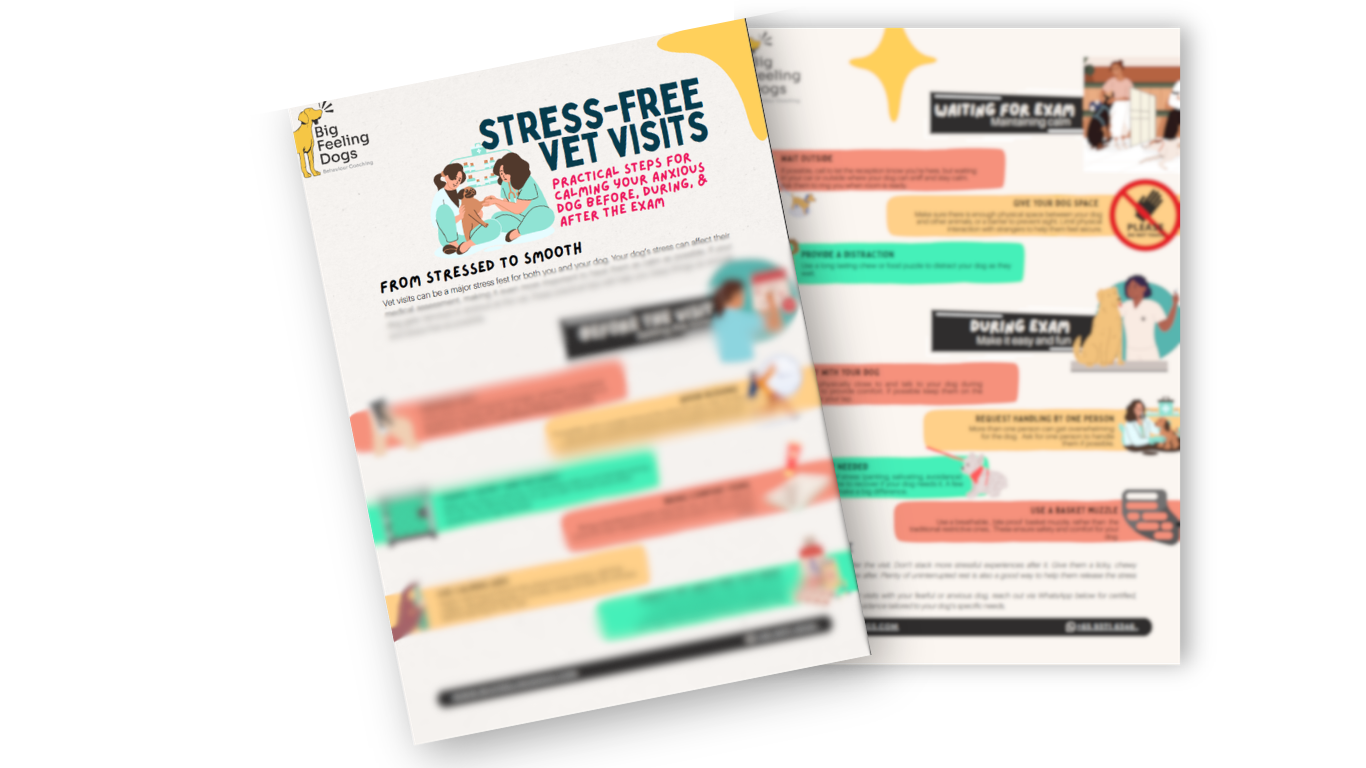 Stress Free Vet Visits Tips