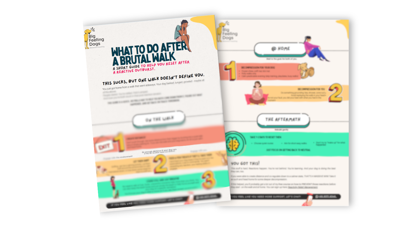 Brutal Walk Reset Guide