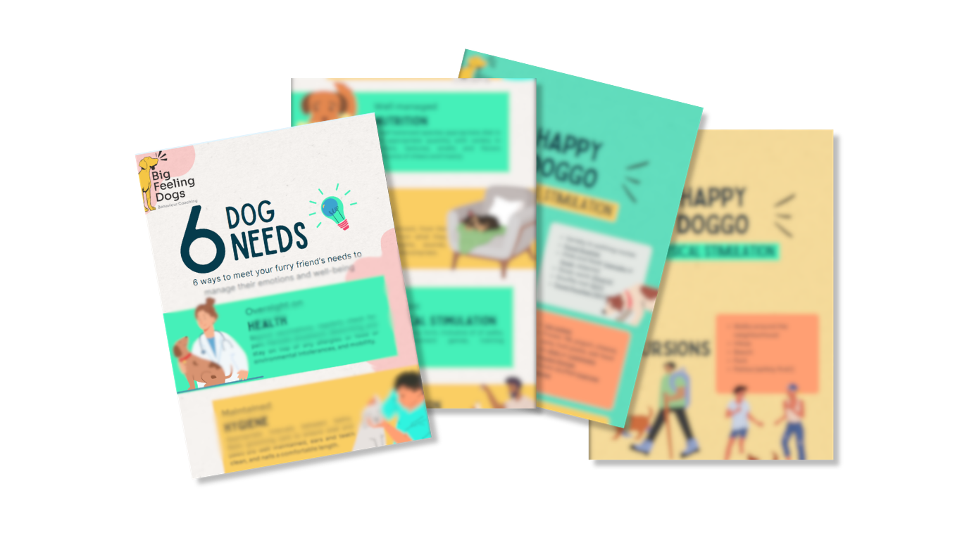 Meeting Dog Needs Guide