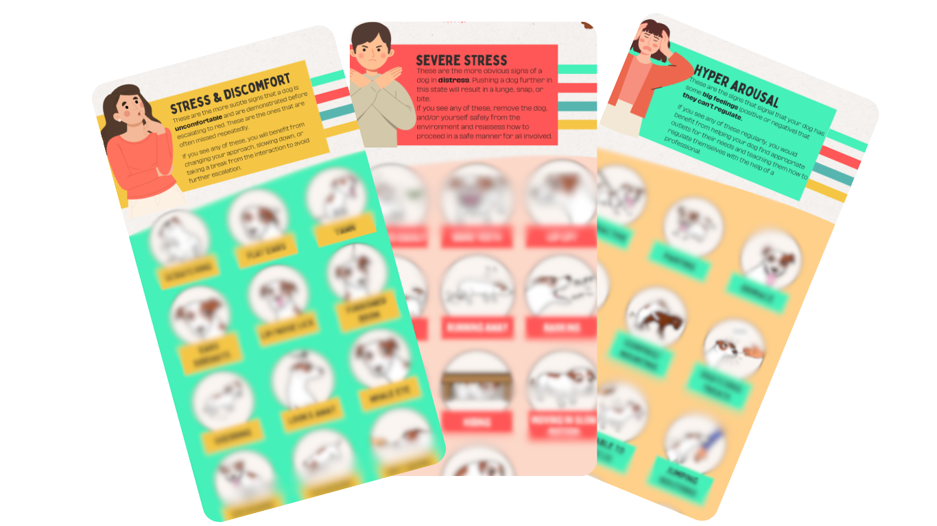 Dog Body Language Guide